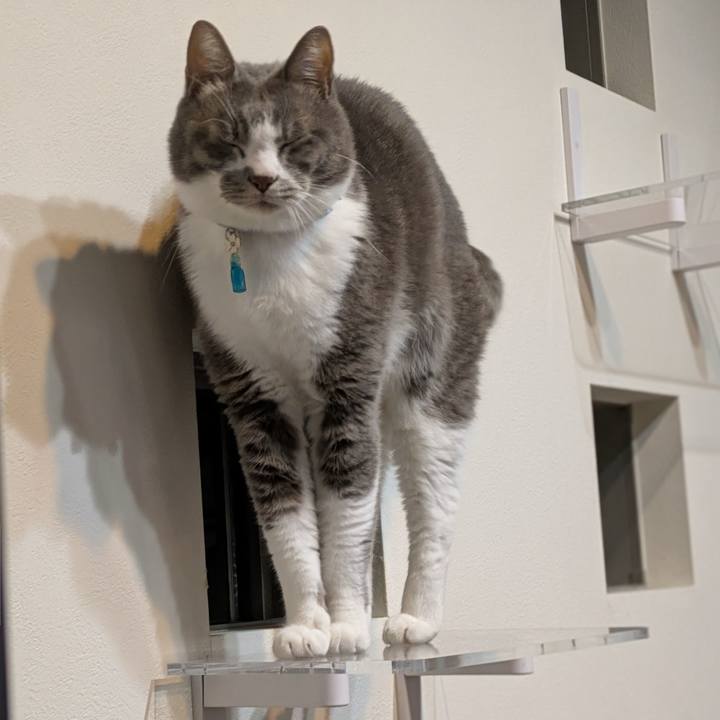 A12c7279 8780 4df4 a50d 598e5ebb44fe 1732612981888