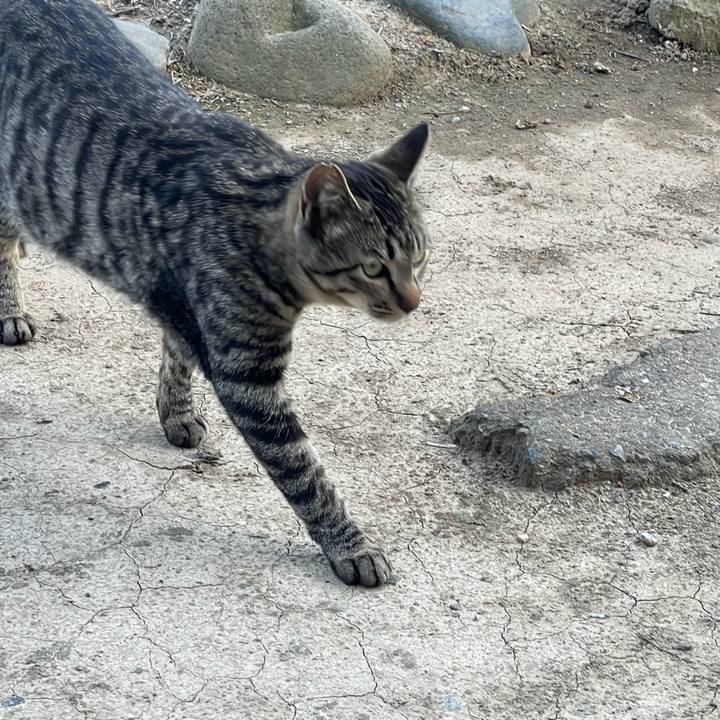 A12c7734 9f71 4717 b2dd 4281614d863f 1651663322135