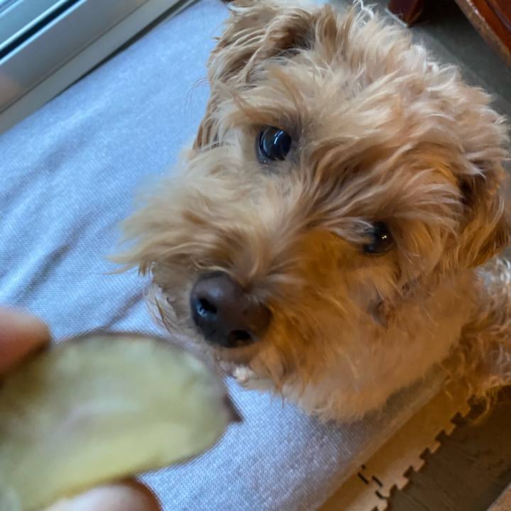 A12c8049 e810 4838 af8c a8a8e42ba407 1666128116437