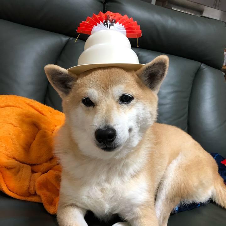 A12c8af0 f2a2 4193 a5b0 325867f6ca35 1578726097353