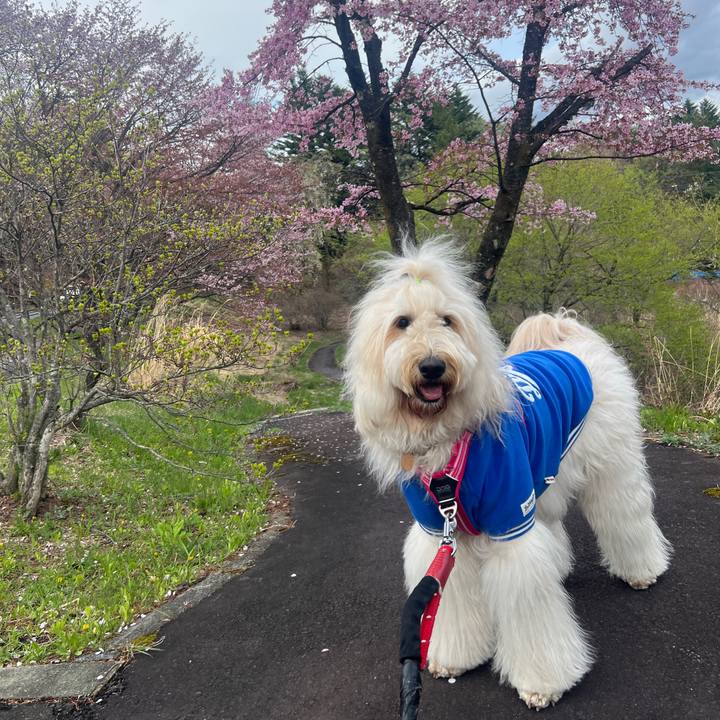 A12cb51e 3d66 45cb be94 25f3793810fe 1777334294806