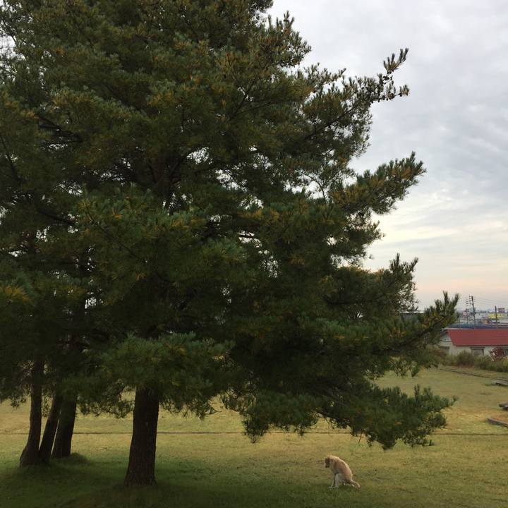 A12cbe52 a226 4cc6 abdb 94783fa0d99c 1541458175257