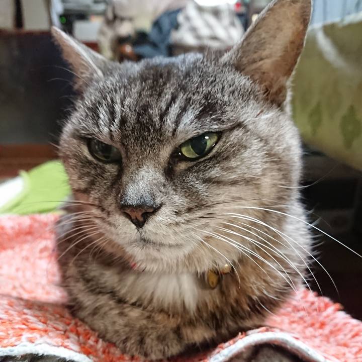 A12d155c b6f6 4dd8 9404 2a3c7f0c69f6 1579730176557