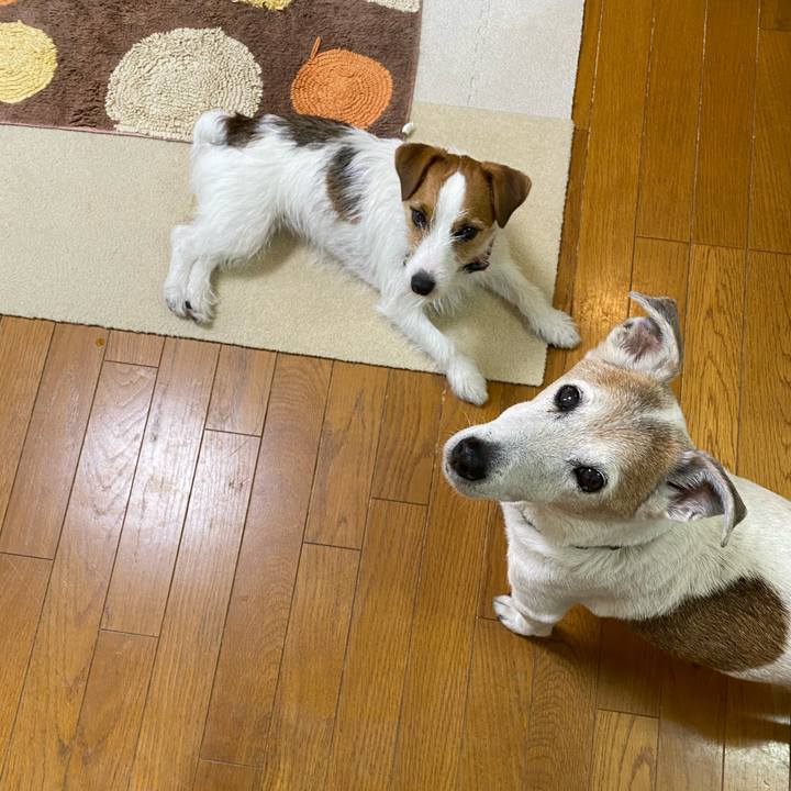 A12d3f47 0fa0 426a aced dca59991e20b 1649549278368