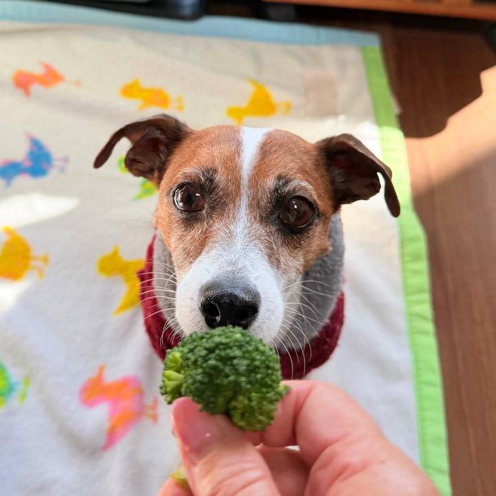 A12d7273 0a0c 401b 90e4 6b687ec89550 1766462785491