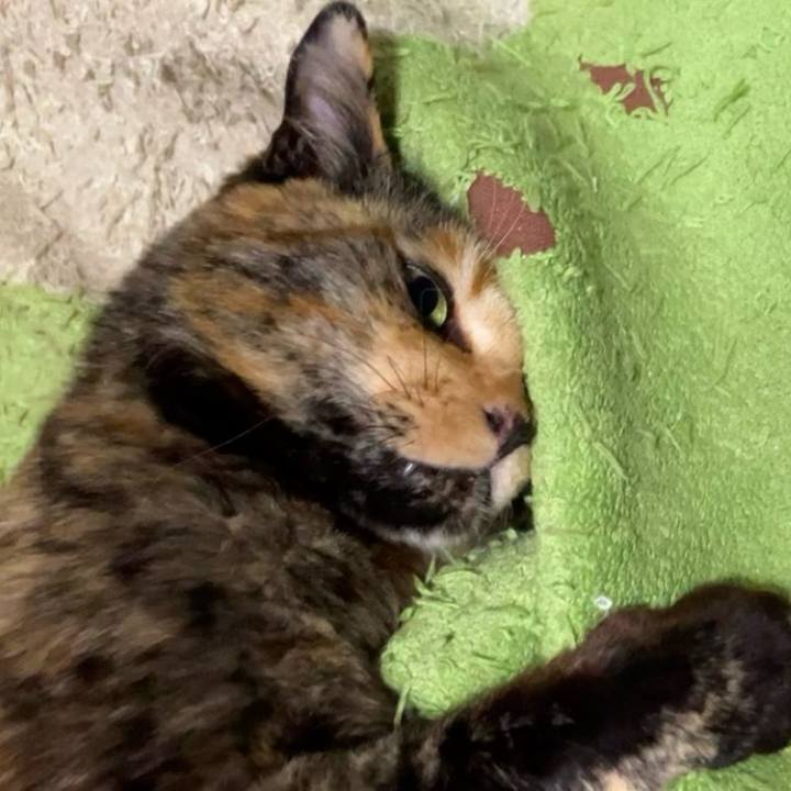 A12d9a70 d4d8 401a a4f4 d98d68fb7884 1740077583130