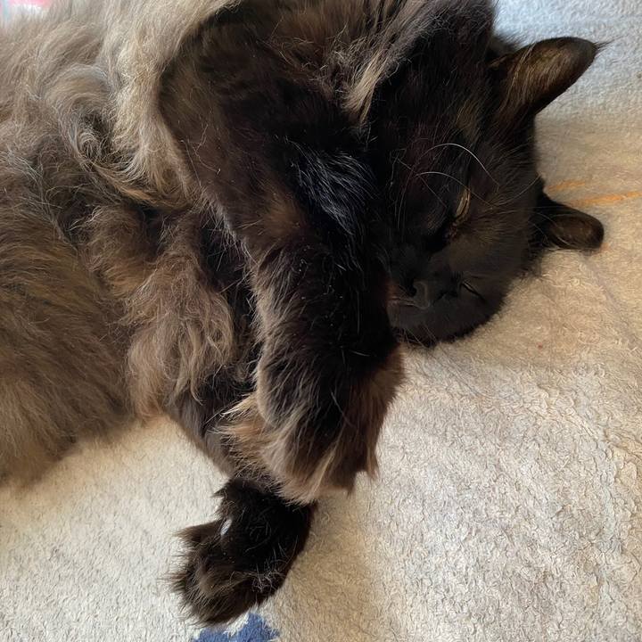 A12da08f 44d4 49f0 a777 12d5ce714b3c 1615529329856