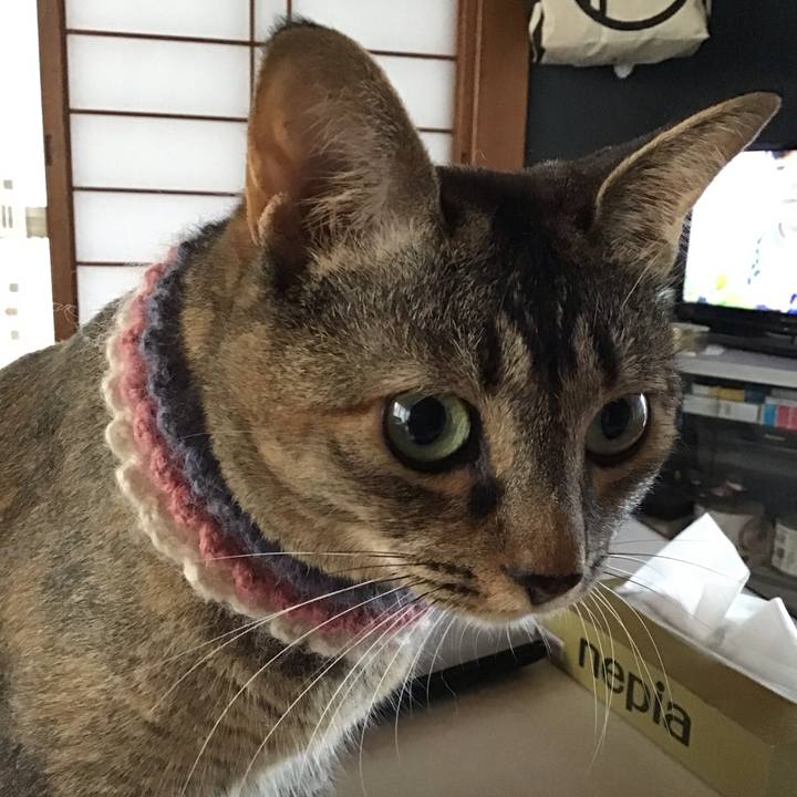 A12dc730 072d 48b1 8d94 e88e699d62a5 1626129598626