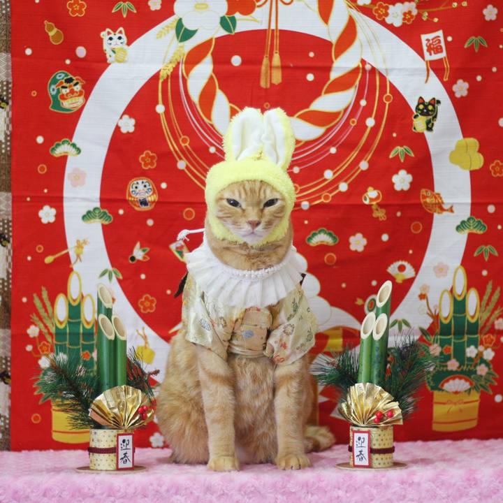 A12dd56e c464 45fb 9313 cb675ef01a0e 1672270629999