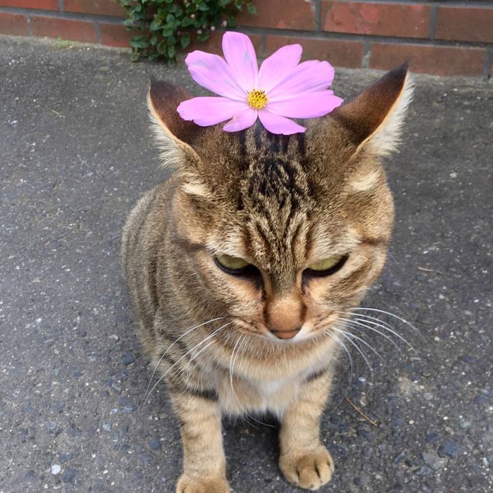 A12ddc56 8060 43eb 8407 f8558c6543b9 1539476281767