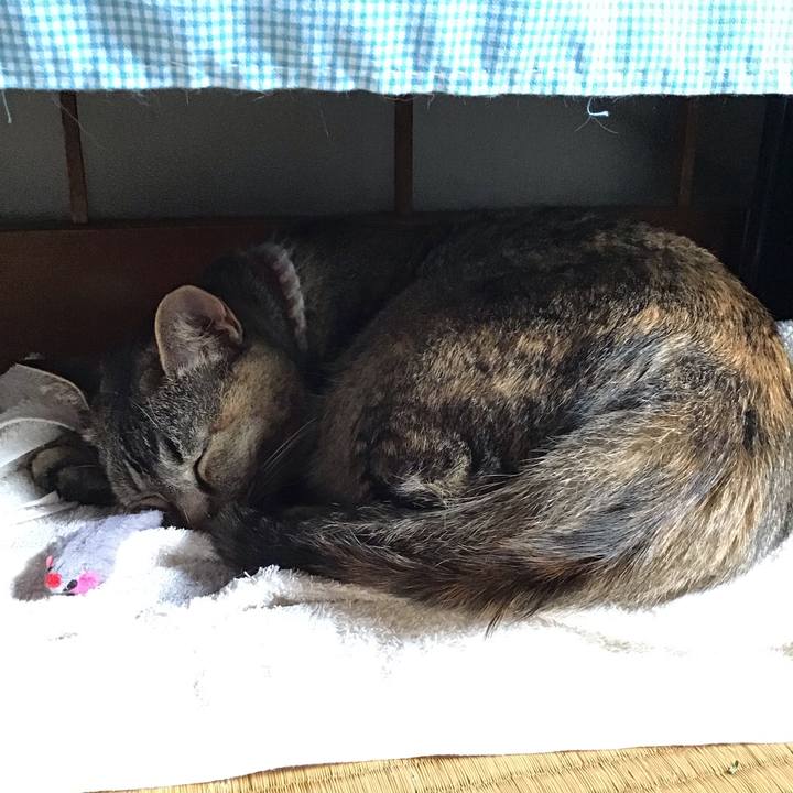 A12deae5 3541 4674 985c 5e60deed055a 1654923554701