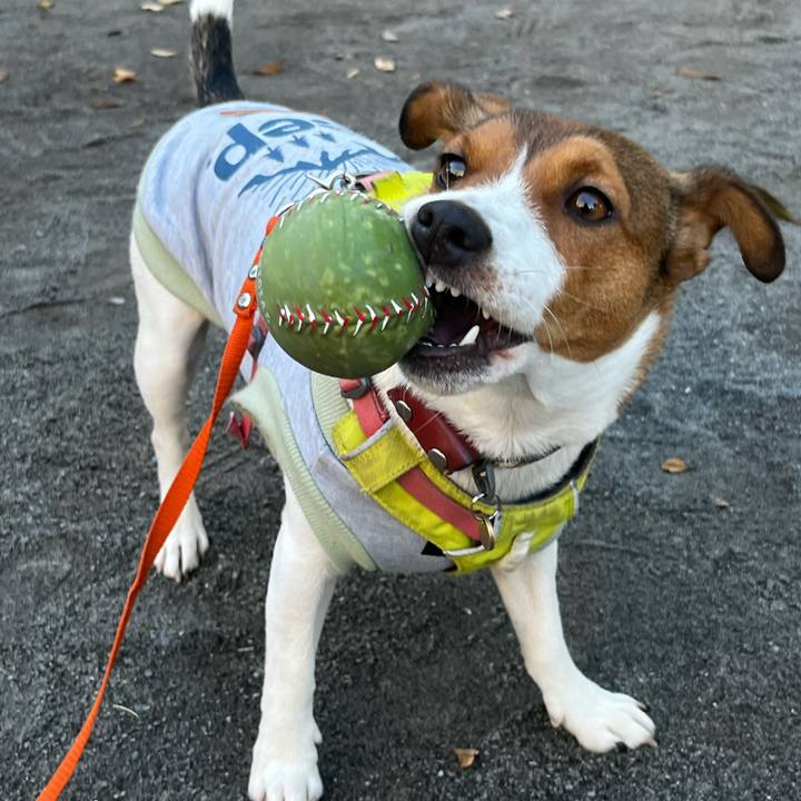 A12e167e d226 4e3a a832 e300a57a6f92 1731070901879