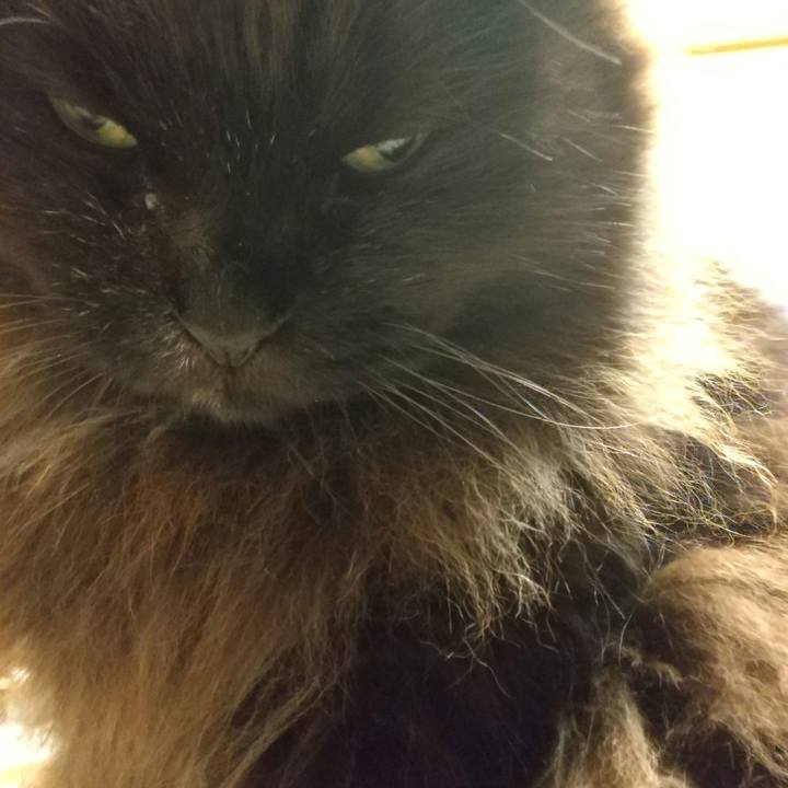 A12e19e3 9ec2 4f1e 86c4 38ed310e85a3 1639394769691