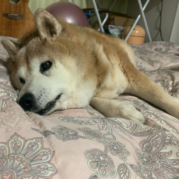 A12e28bc ab52 4bfa a6d3 9893bebfa08d 1617196712228