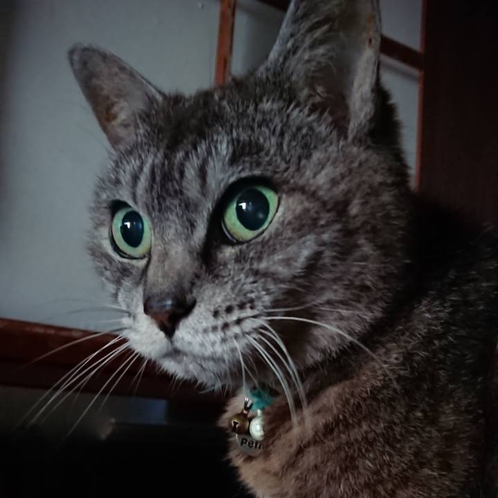 A12e4157 a675 4647 9b18 1ae1878051a3 1566591843615