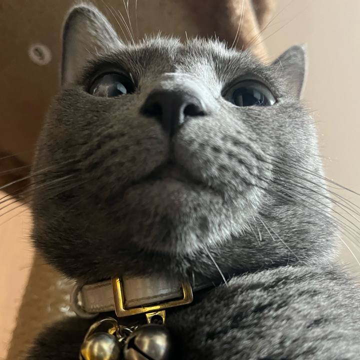 A12e4664 b0da 42f9 97c6 9e62b73be530 1702727260429