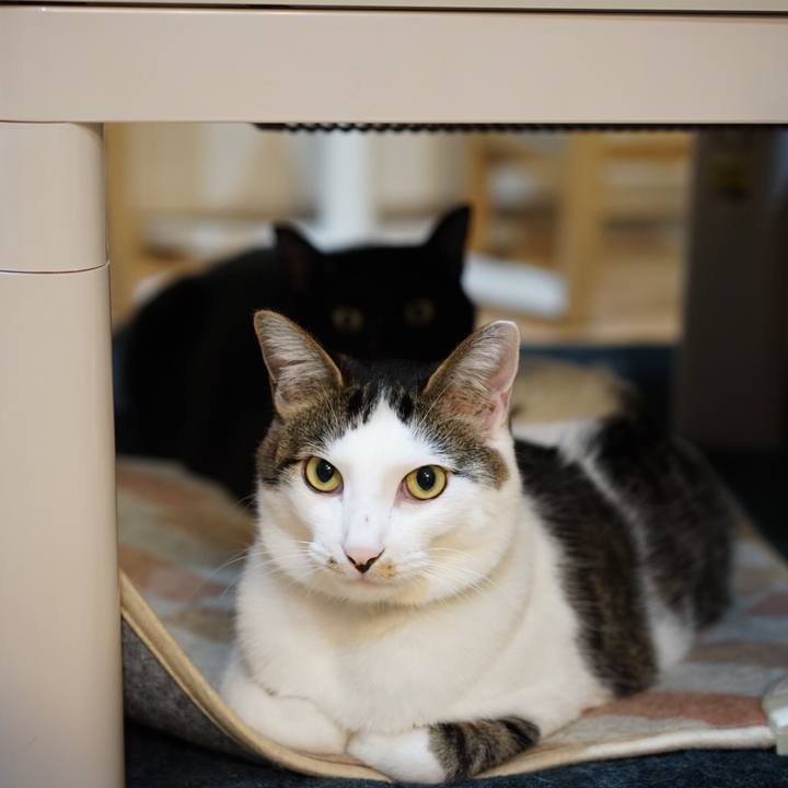 A12e9970 70ef 4c9c 89e3 be1d947619e6 1548772562765