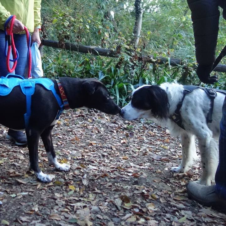 A12eb8f5 c19a 4b08 b3a6 8f38c3964c88 1604881445001