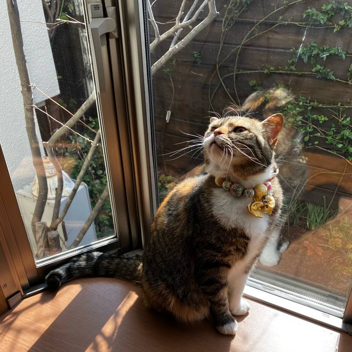 A12efe8c 70b9 4420 af38 950cd312ef6e 1774183417421