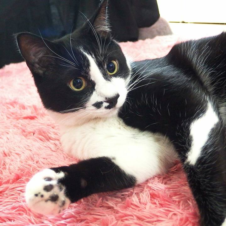 A12f2d94 c8fd 4be4 beab 3558d7e3fea7 1528516528302