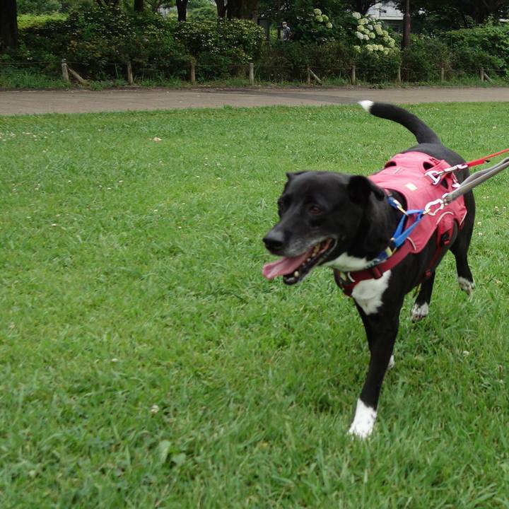 A12f3fb8 2cad 4272 8d89 fb500ec55dc0 1689381111236