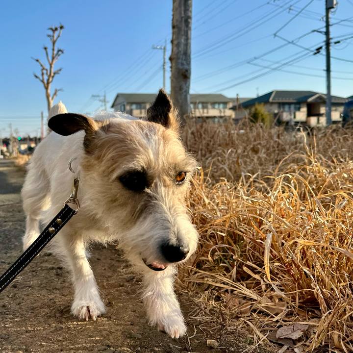 A12f575f f983 4c6b 923f 7de56ef0d9a1 1740645488315