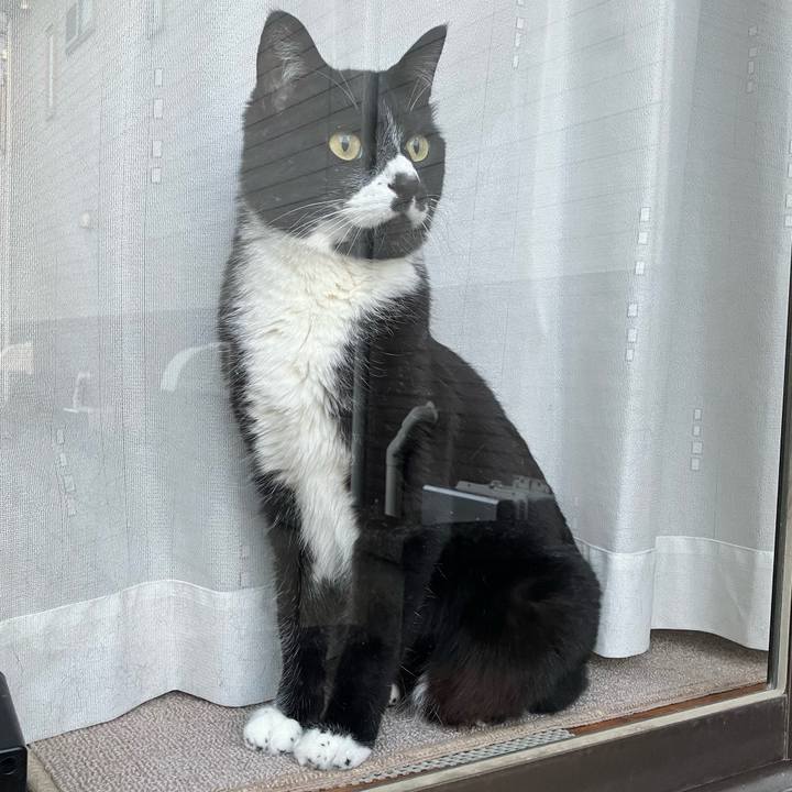 A12f8209 3a5b 45f4 8f83 e83343ffe9c6 1714534030387