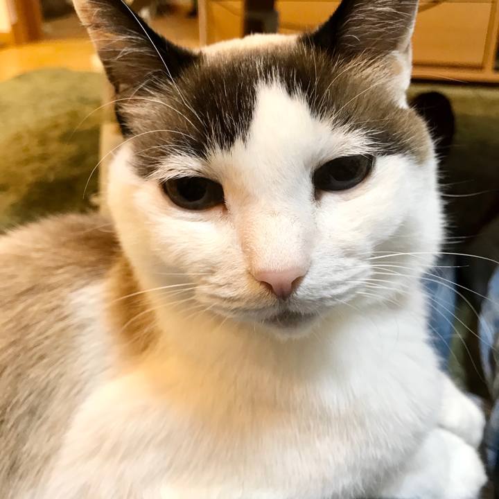 A12f8c37 e641 4e0f 8a0f 51b5b71180ce 1579932263587