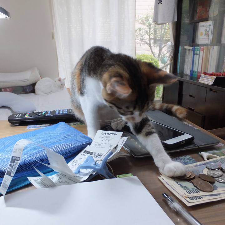 A12f9b13 1a35 4ae7 9177 4e6f59f7daca 1631176752540