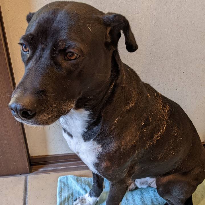 A12fda76 00ff 4735 b58c f3bdc80ba1ad 1641349354612