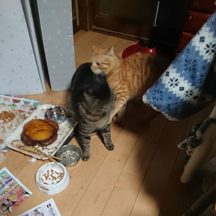 A12ff4dc c560 4a0b 8300 f80995be4bd3 1648372333482