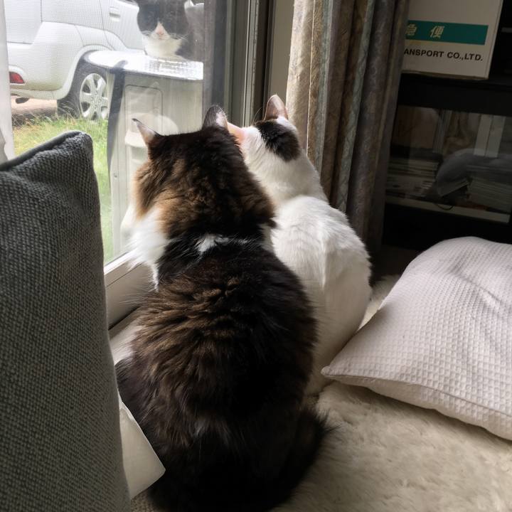 A12ff7f7 bb38 4ab2 9c11 ff717641f491 1539733760046