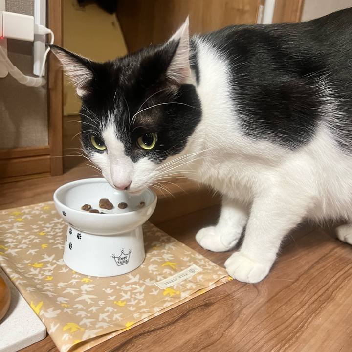 A1300976 d38c 4d47 a190 ab4880ed3b25 1698405245451