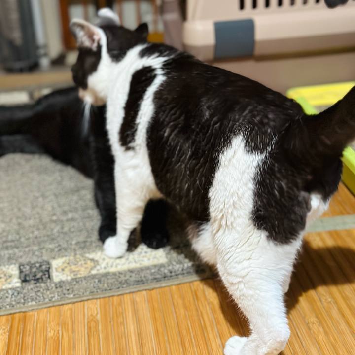 A130280b a392 4b33 bd33 eadec3c58ec8 1690161056598