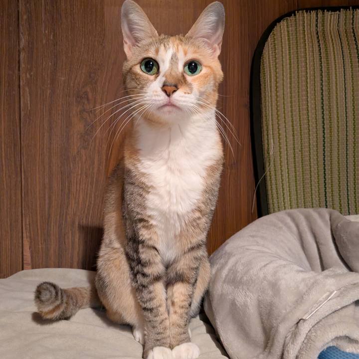 A1303a34 f7c8 4200 aacb 9df3bfdf46f3 1758993094115