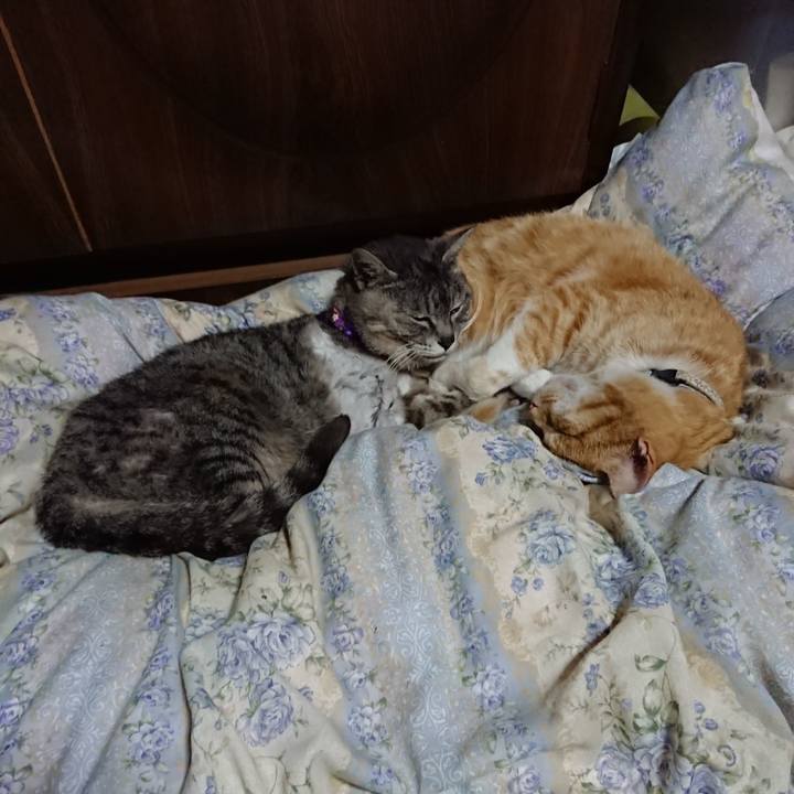 A130401d da6b 473a 957a 97862e20d9c0 1589631094812