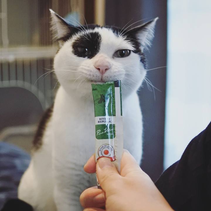 A1305ccf 69d4 4344 8e43 0565e1ab4c5e 1641513234315