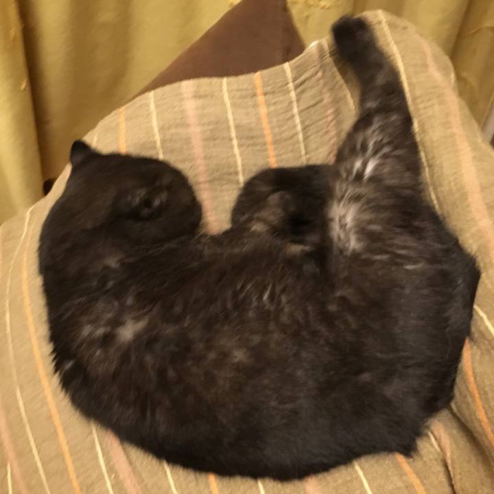 A13092d8 611b 4609 b3d1 c0d868886997 1538742731419