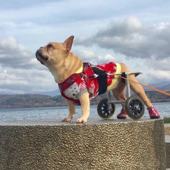 A130bbe2 bedb 4d71 b22d 3b409e616af5 1581846900301