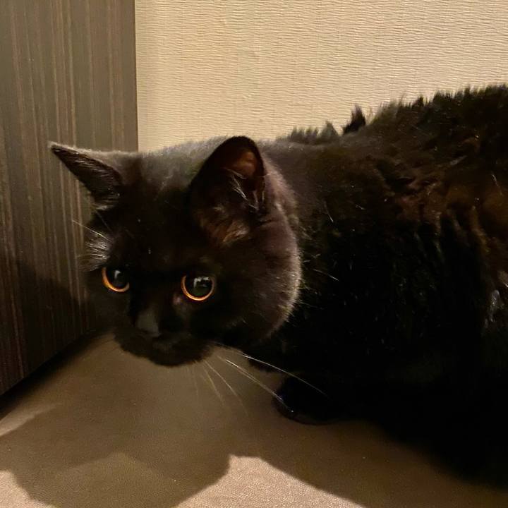 A130cf19 d930 4fc8 b31a cd5573847c08 1654089034097