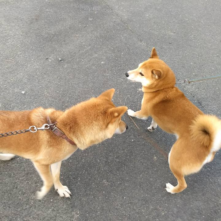 A131007a 1e2f 4004 8ffe 4e3ae0f84f4c 1540349746672