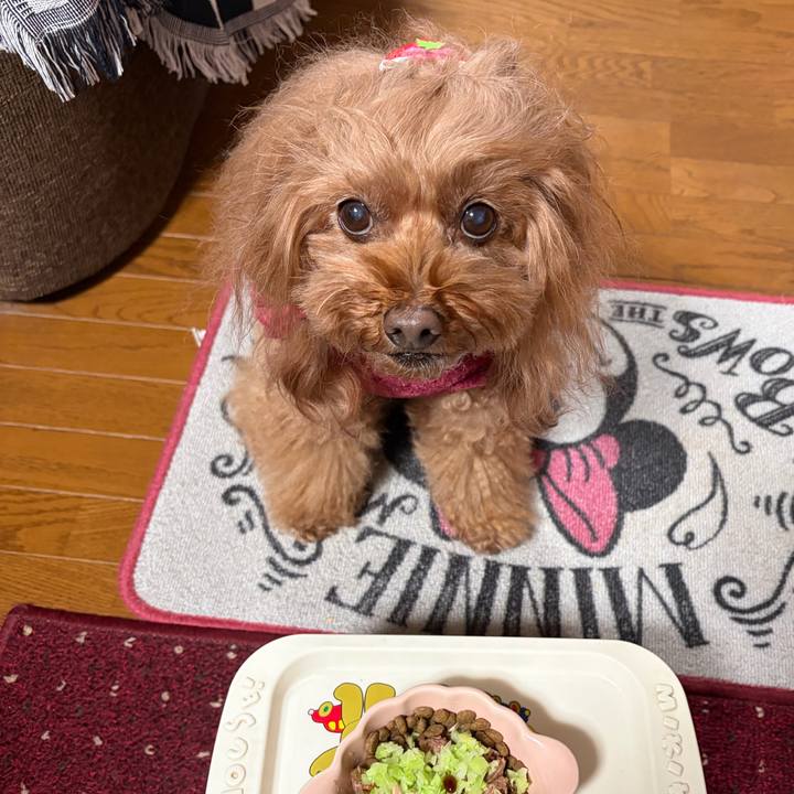 A1317d13 f802 4621 a51c 041b4a21976f 1767604193807