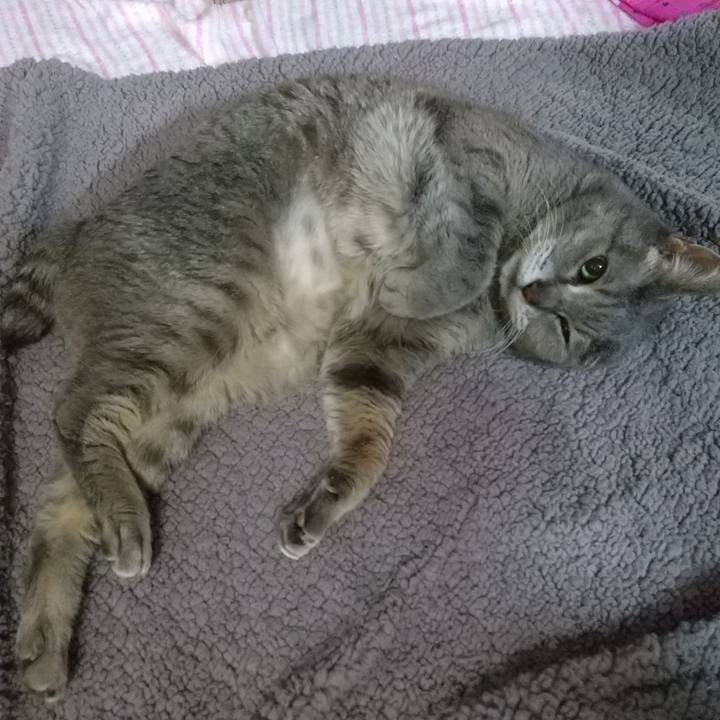 A1320cfb 4103 461c 821f 219e5affad1a 1684156961062