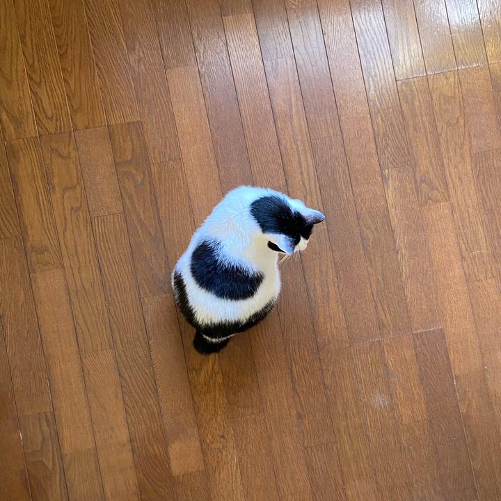 A1321248 b74f 4c2d 8b01 68f5a8190d03 1586434214727