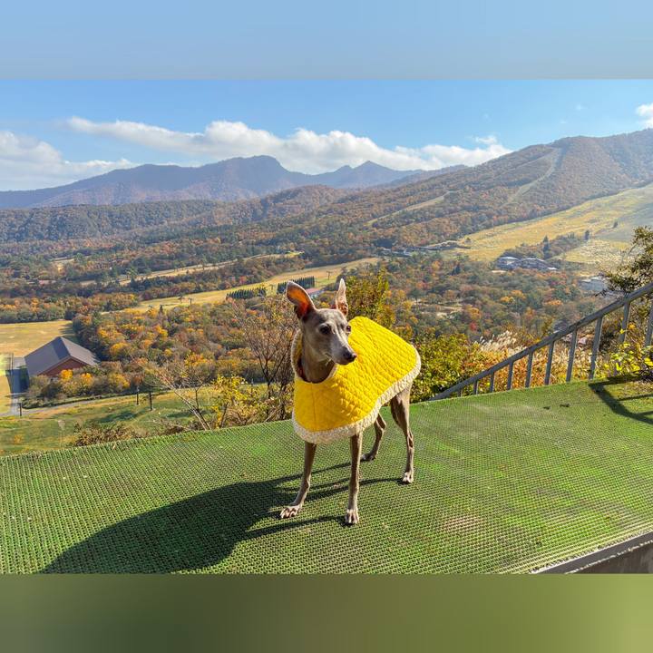 A13225dd 7043 4cc9 accd cea8a2bffe43 1763894787863