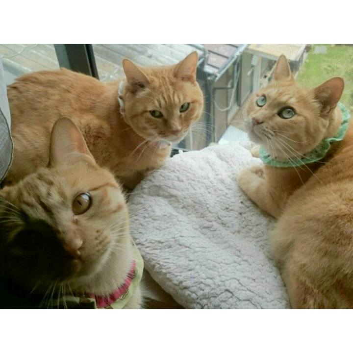 A1329a73 f7de 4fd6 b3eb a4407991b580 1564973624026