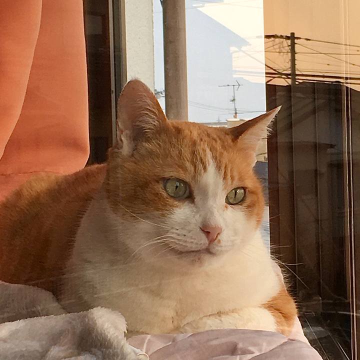 A1329ab8 72dc 46d3 b5e6 1f0a0557a1e2 1614237949490