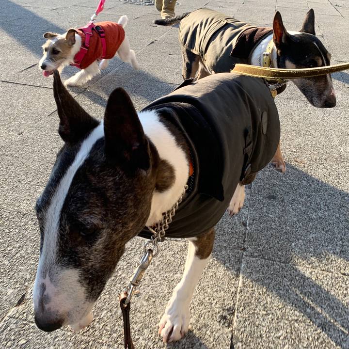 A132adc9 a7c6 40d5 a624 dac59587c433 1577621163699