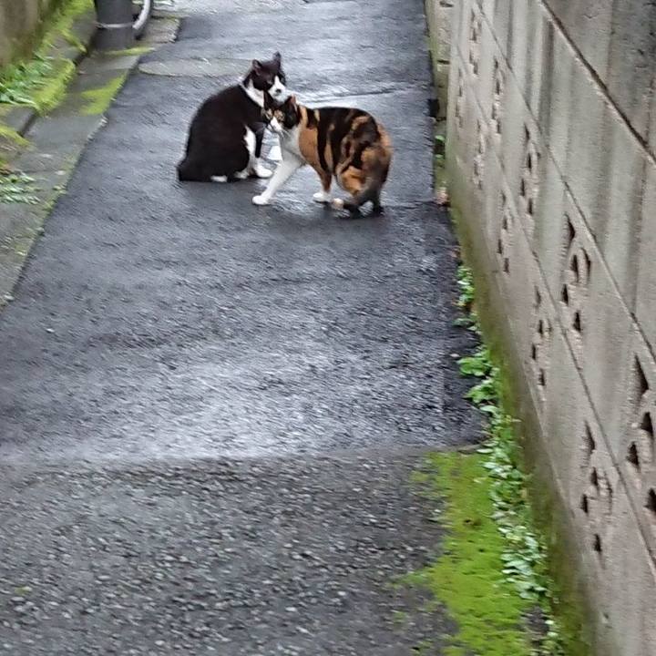 A132b2af 7fdc 4033 98d7 26610cb6df8b 1631402363392