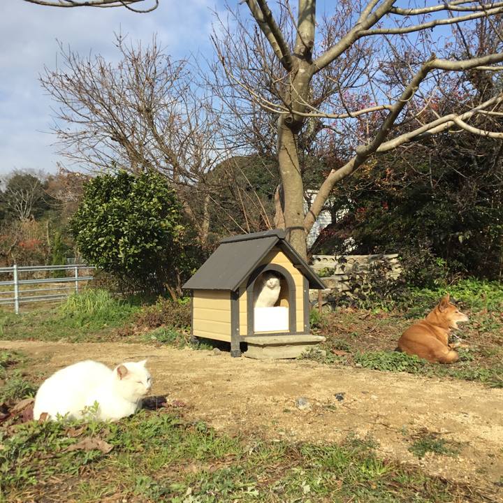 A132c0fc f245 472b 97e5 8b1584a73345 1513819949818